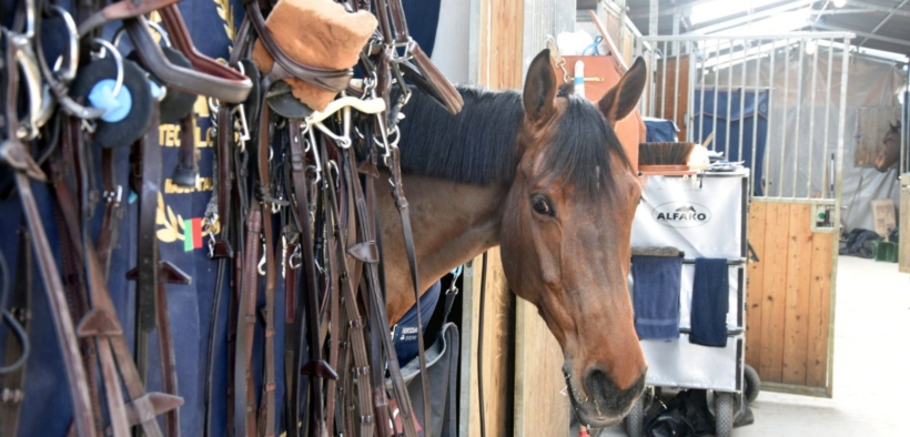La FEI ha introdotto un nuovo dispositivo di misurazione delle capezzine