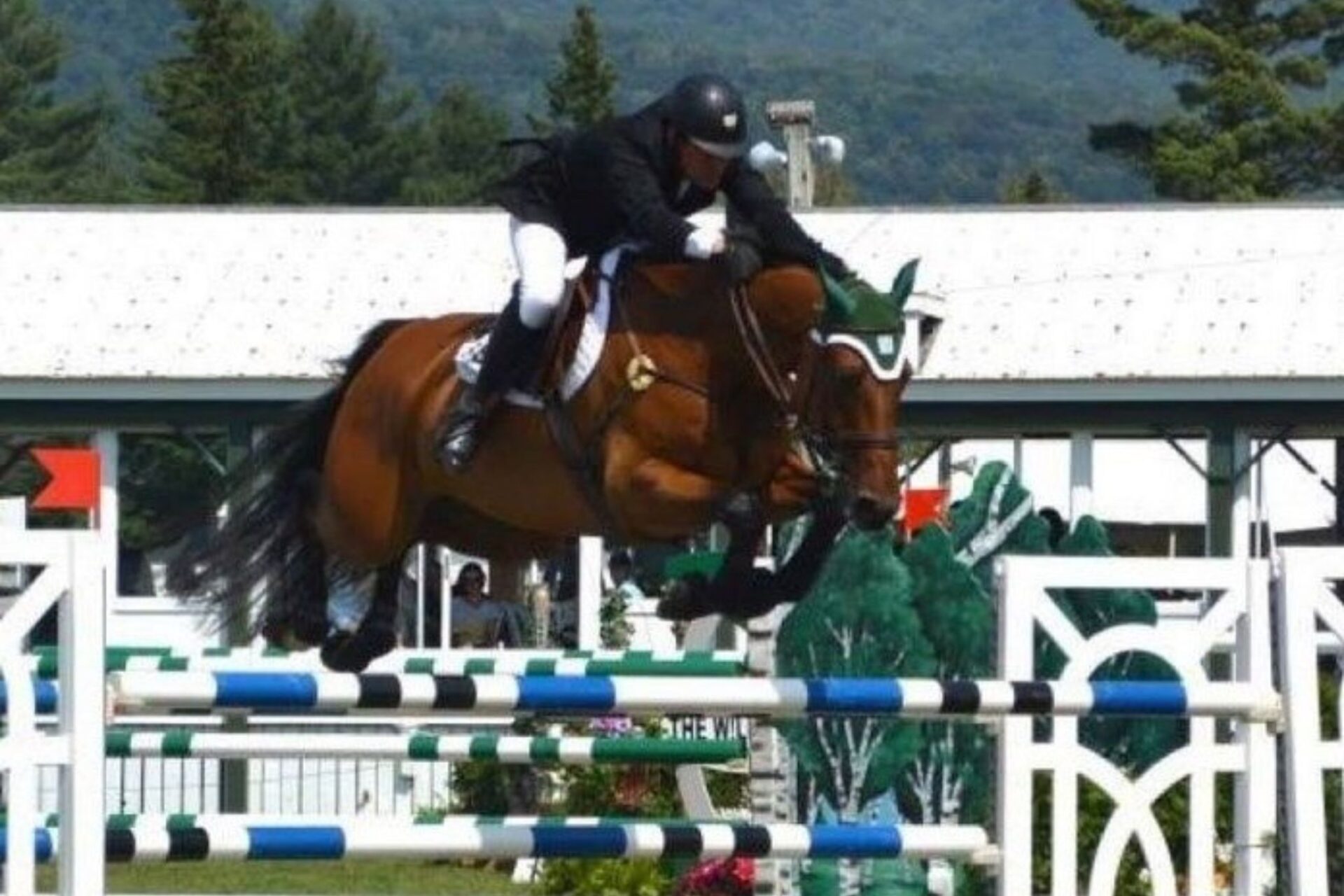 Obos Quality 004 (Quality - O.B.O.S. Quality 004)