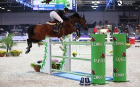 Verona 145 Accumulator