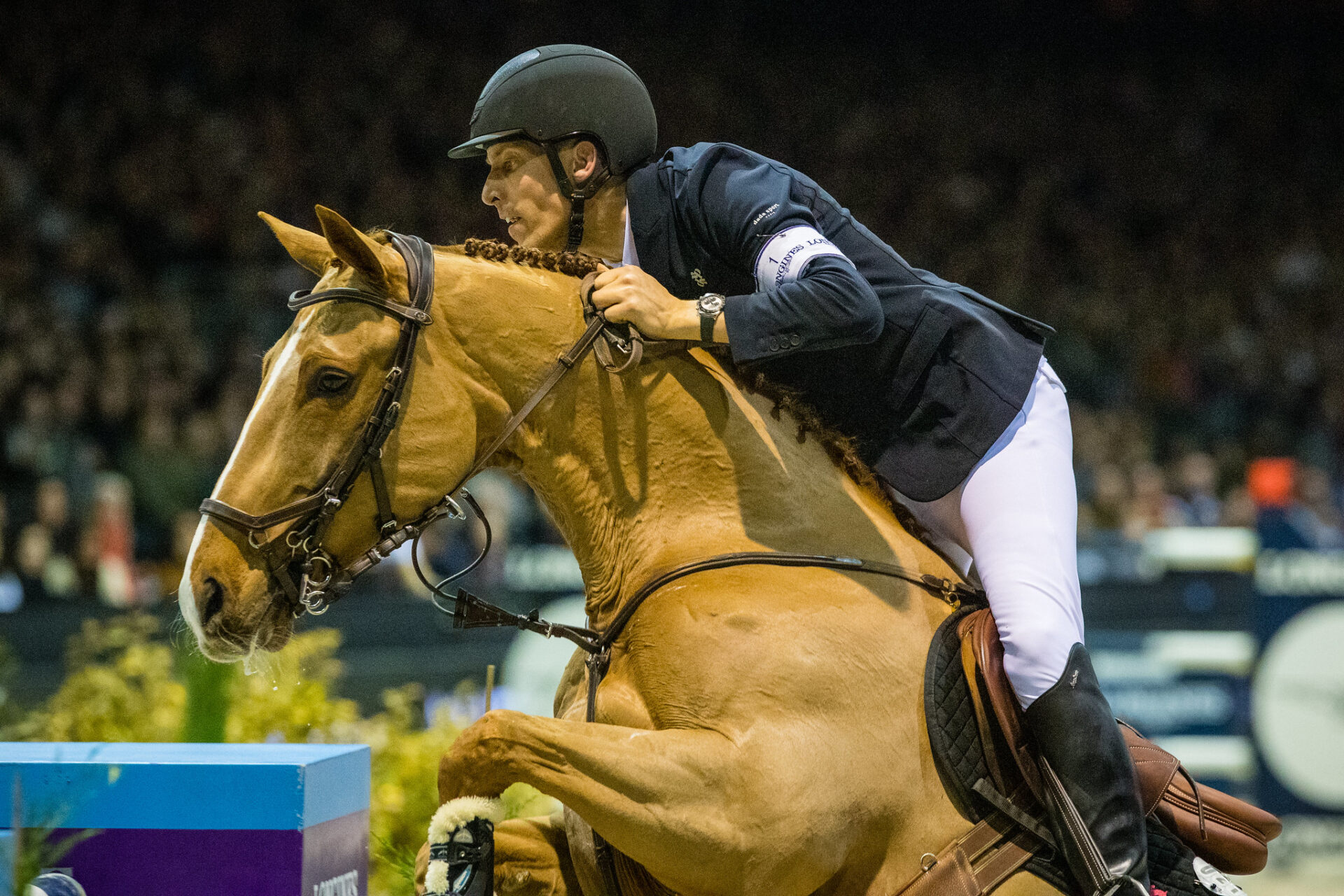 Aggiornata la World Ranking Jumping: von Eckermann sempre in testa, Camilli miglior azzurro