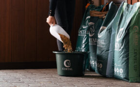 Cereali per il cavallo: meglio schiacciati, fioccati o estrusi? Scoprilo con Cortal Horse 1
