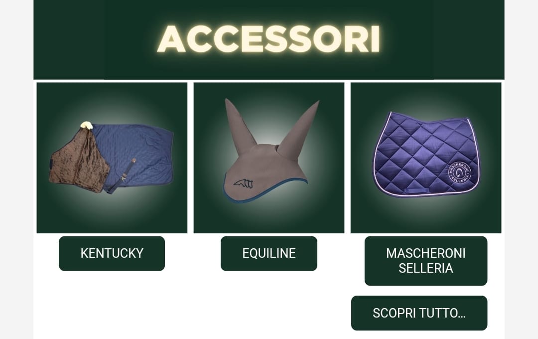 E' tempo di Shopping Natalizio da Mascheroni Selleria! 1