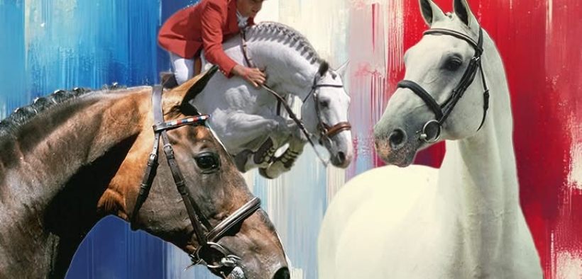 Genetiche rare per il nuovo programma fattrici Holsteiner