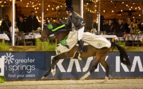 Grand Prix Internazionali: ecco i podi (#week 49) 1