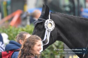 Happy retirement to Ilex VP 2