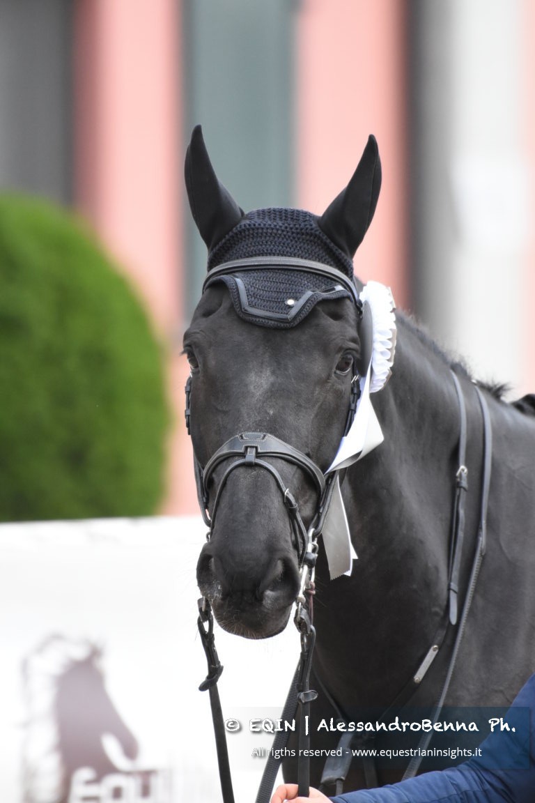 Happy retirement to Ilex VP 3