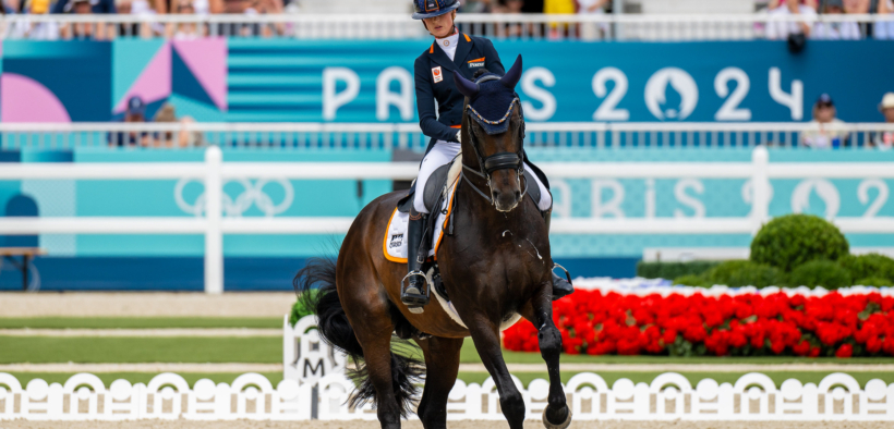 Hermes di Dinja van Liere rimosso dall'elenco olandese NOP