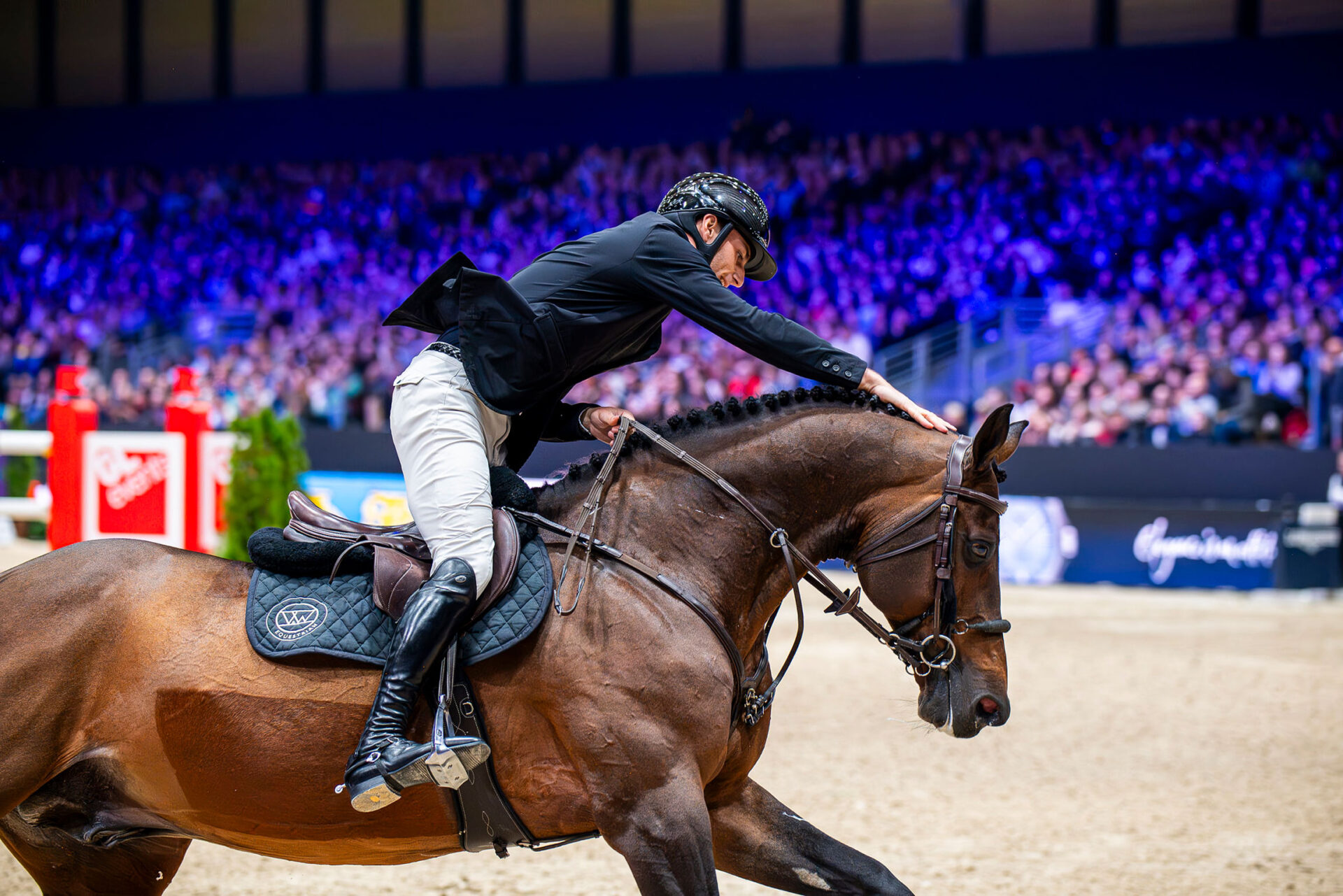 Il cavallo del mese per la FEI è United Touch S