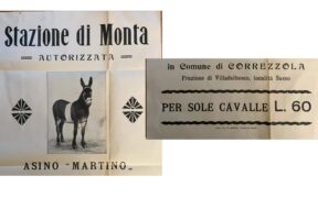 L'asino e le stazioni di monta per sole cavalle, con obiettivo i muli