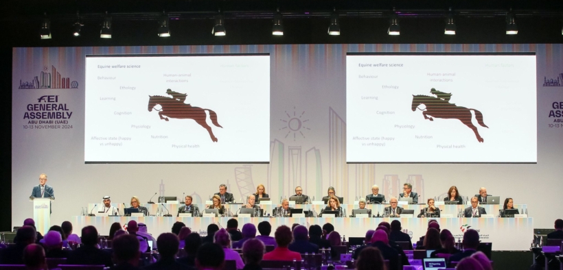 L'IJRC invita i cavalieri a dare feedback sulla revisione del regolamento FEI di salto