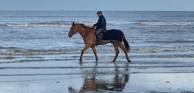 Philippe Le Jeune procede altrimenti: