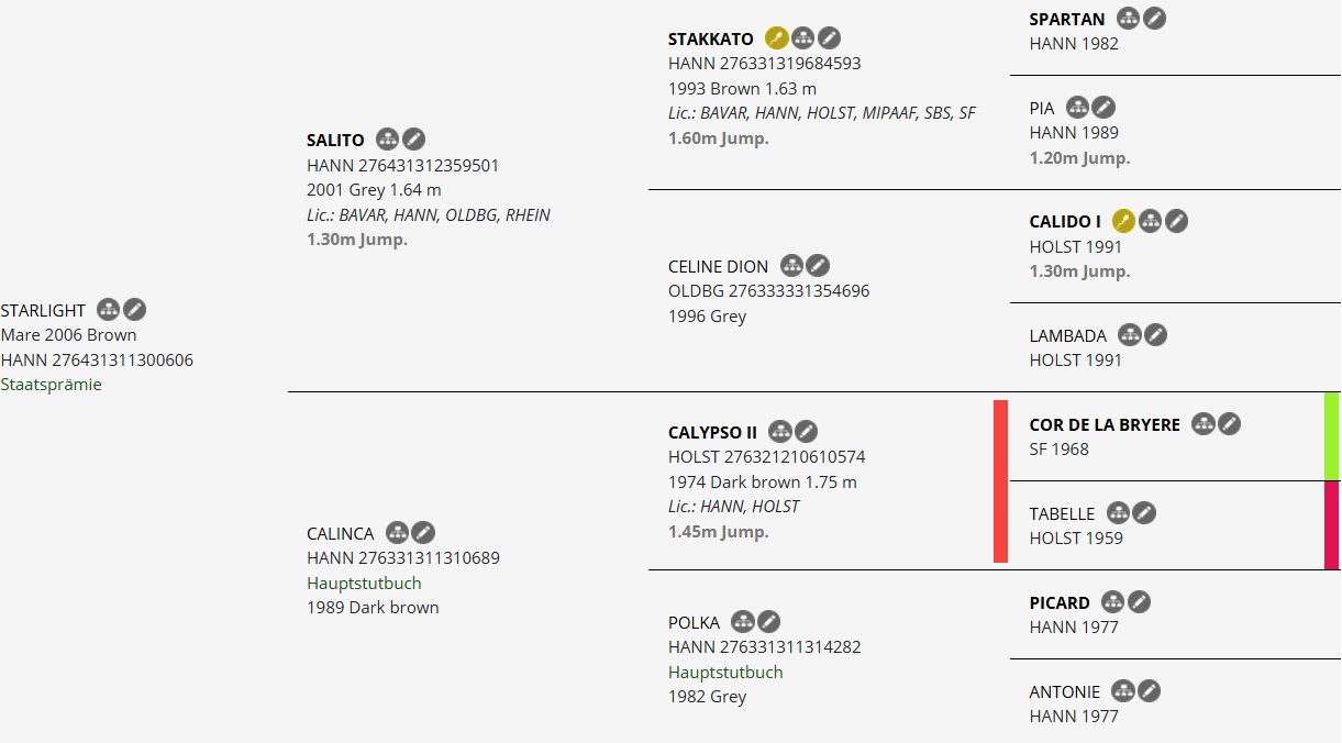 Salto, Starlight cavalla Hannover dell'anno