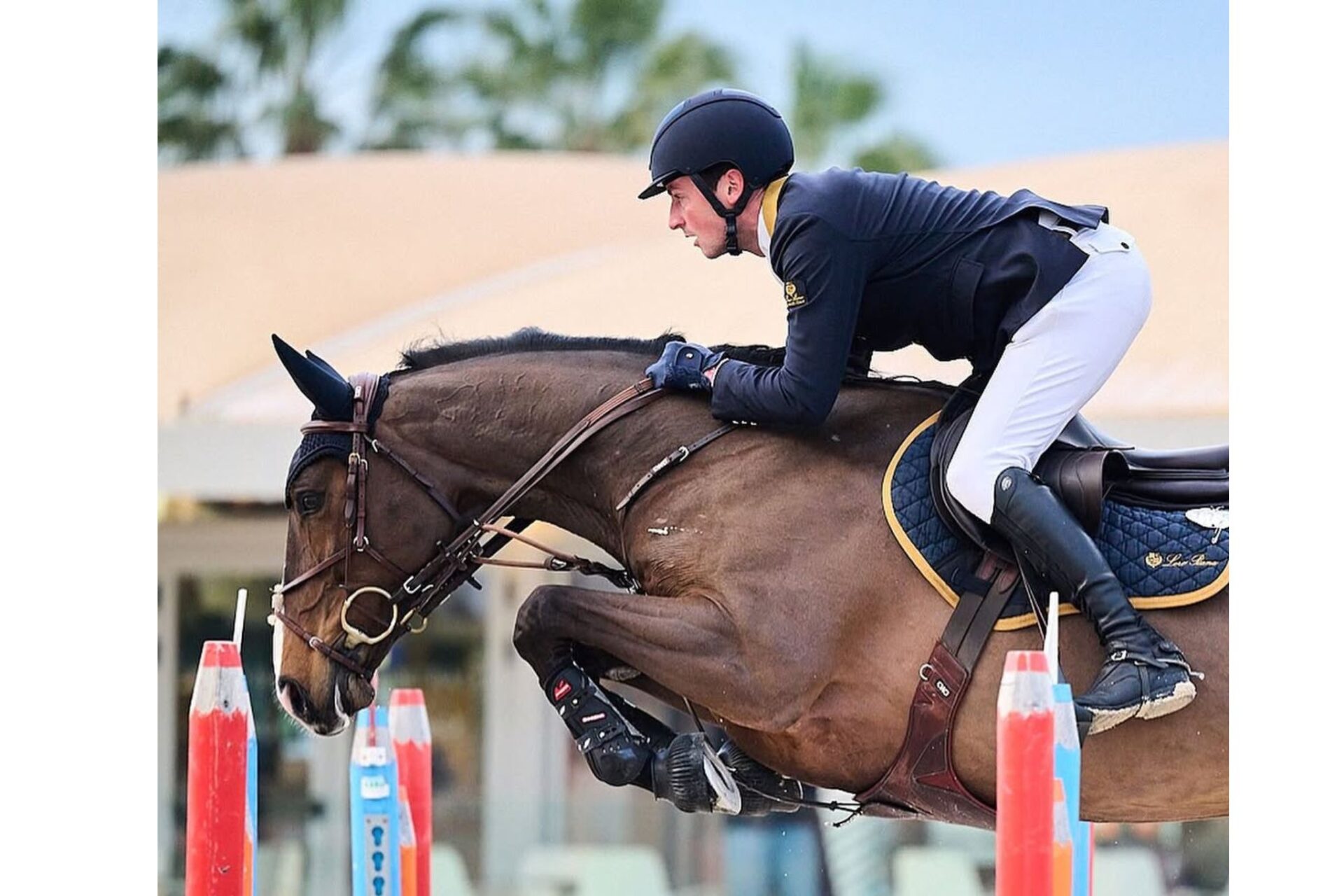 Buon inizio per De Luca a Oliva Nova: sua la 145 LR, Massimo Fiocchi terzo (CSI3*)