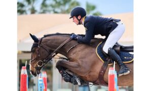 Buon inizio per De Luca a Oliva Nova: sua la 145 LR, Massimo Fiocchi terzo (CSI3*)