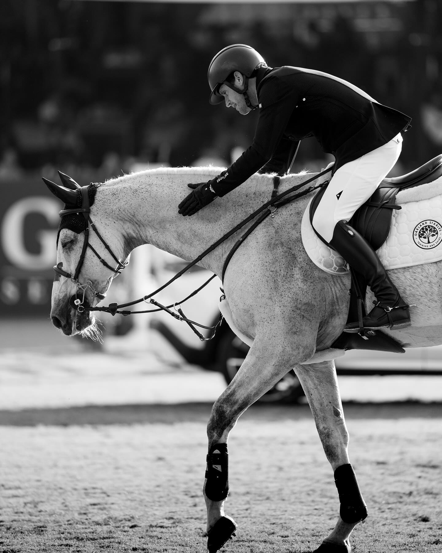 Cartello VDL, una carriera strepitosa e lunghissima