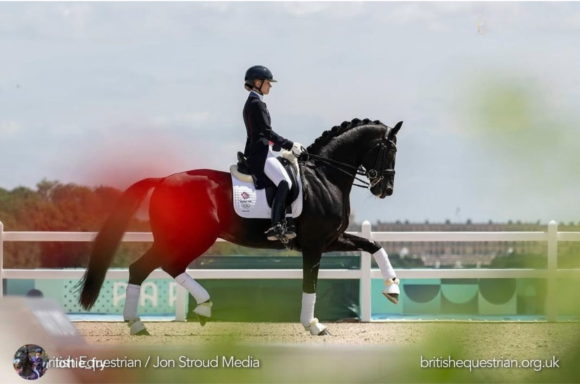 Dressage: Glamourdale campione Kwpn per la 3^ volta