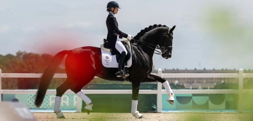 Dressage: Glamourdale campione Kwpn per la 3^ volta