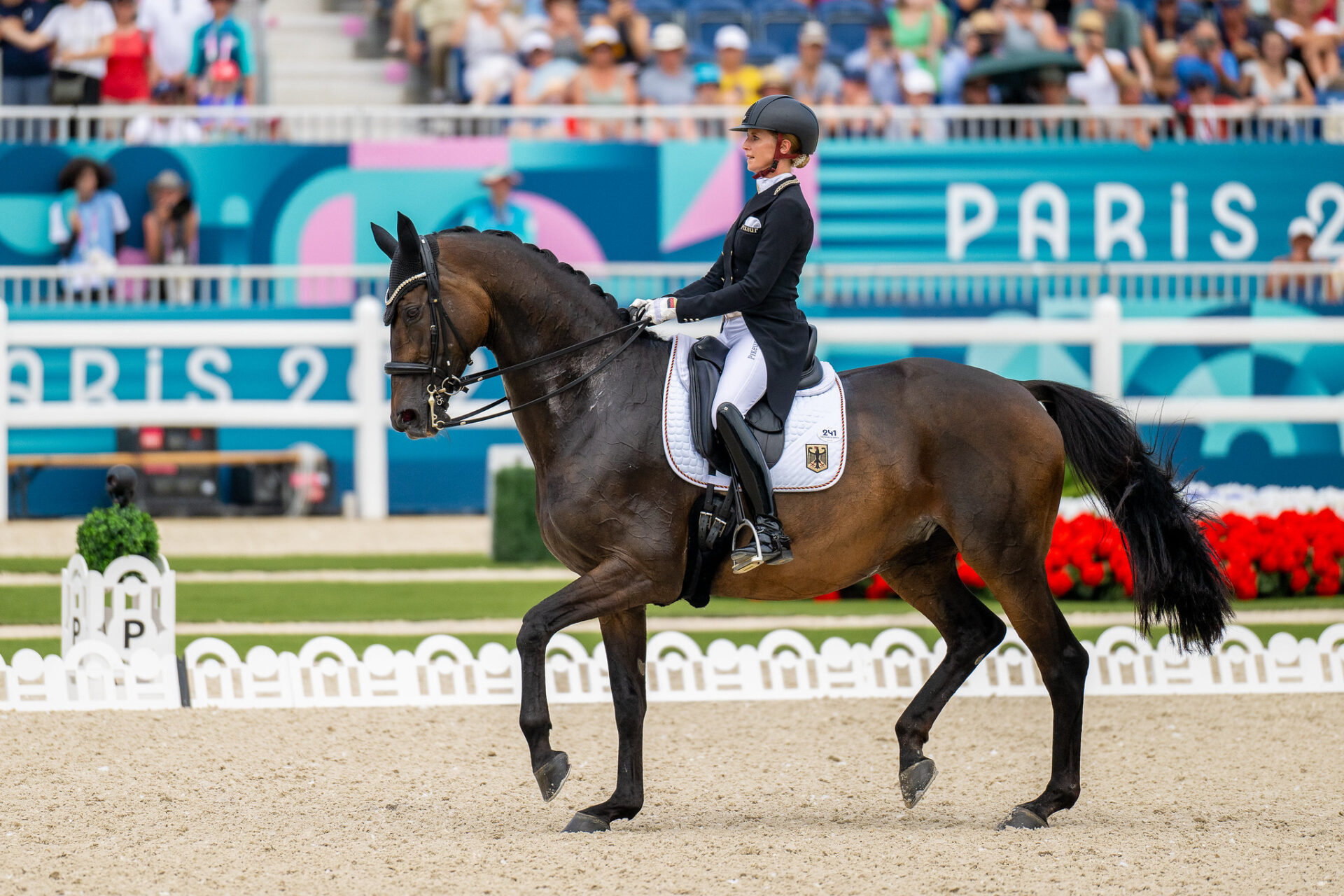 Dressage: la FEI annuncia un gruppo di lavoro per lo sviluppo di un nuovo piano strategico
