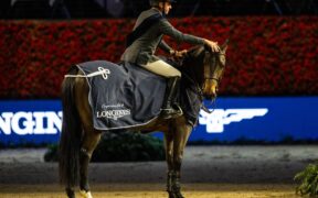 Epaillard e Donatello d'Auge conquistano la vittoria a Basilea (CSI5*-W) 1