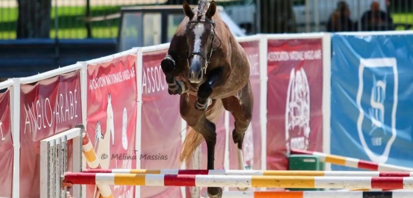 GFE Candy de Nantuel