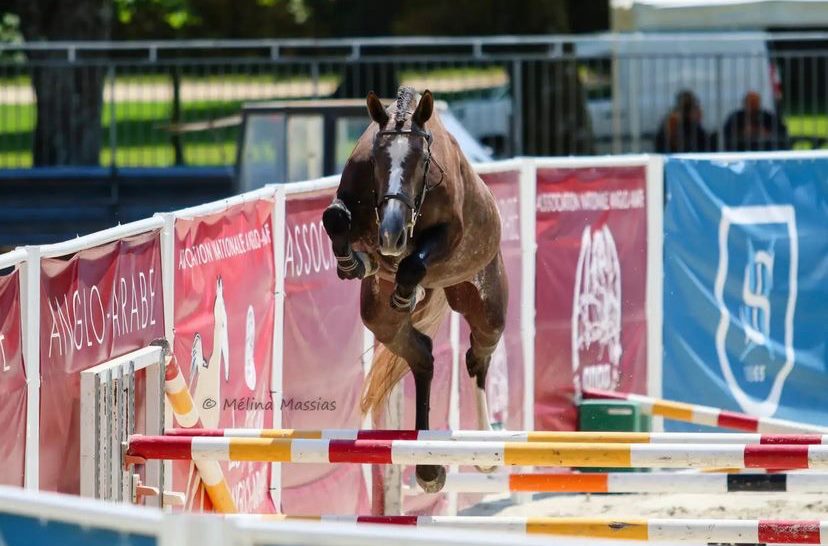 GFE Candy de Nantuel