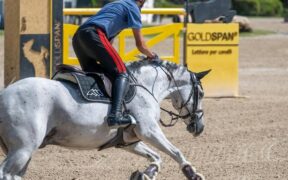 Gran Premi Naz. A5*: ecco i podi 82