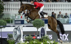 Il Belgio si prepara alla Longines League of Nations™ 2025 1