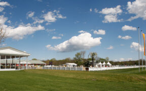 Il centro Magna Racino in Austria è stato acquistato dal miliardario Luke Comer