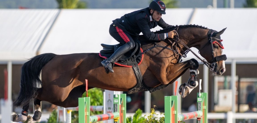 L'attuale generazione di fattrici Power Value© 3