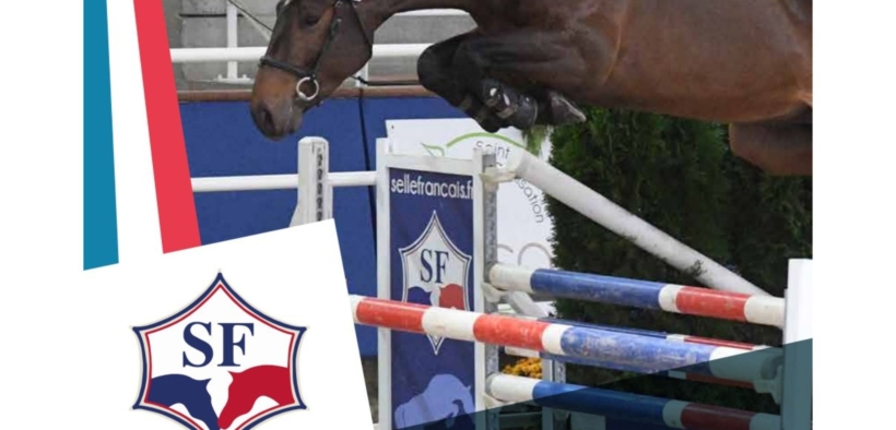 Novità dallo Stud-book Selle Français per il 2025