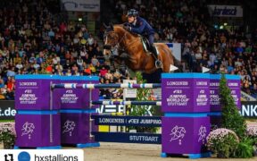 Nuovo capitolo nella carriera di Gaspahr: le parole di Giampiero Garofalo