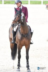 Vancouver de Lanlore si dedicherà solo all'allevamento 2