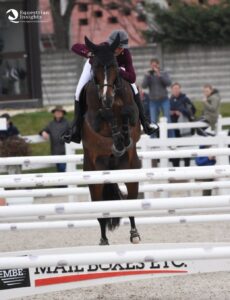 Vancouver de Lanlore si dedicherà solo all'allevamento 3