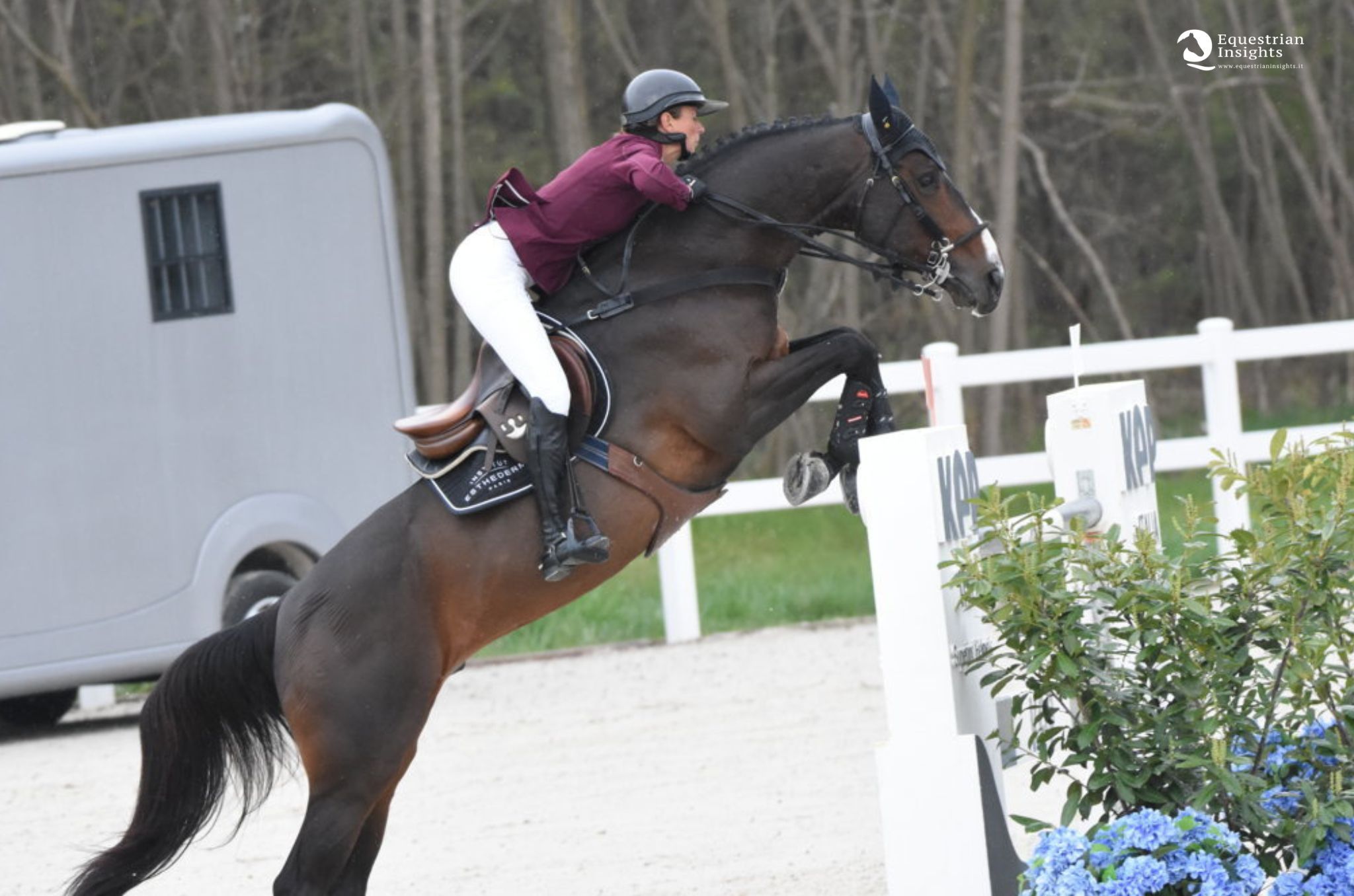 Vancouver de Lanlore si dedicherà solo all'allevamento 4