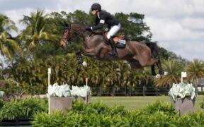 31° mese di leadership per von Eckermann. 1