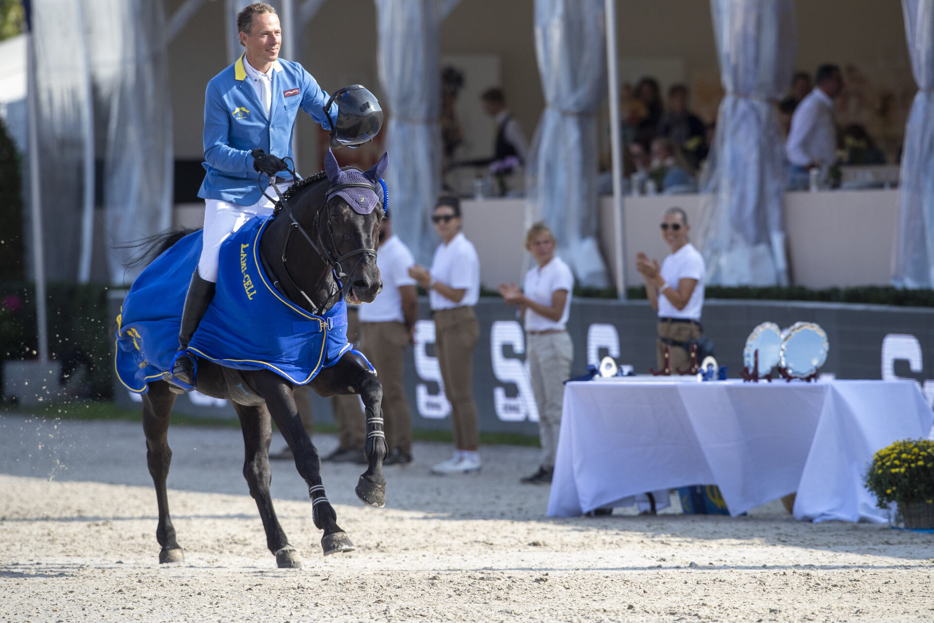 Da puledri a campioni: un'analisi dei migliori cavalli mondiali