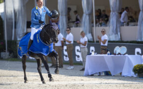 Da puledri a campioni: un'analisi dei migliori cavalli mondiali