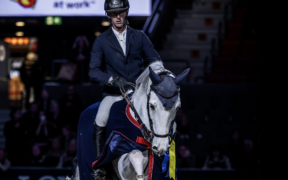 Dancing Wolf: la stella azzurra continua a brillare