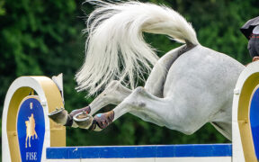 É online il nuovo Regolamento Nazionale Salto Ostacoli 2025