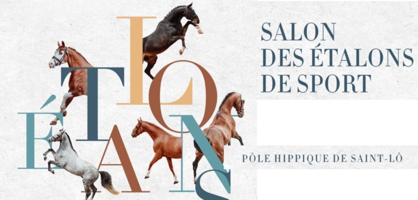 I nuovi premiati giovani stalloni SF da Saint-Lô 1