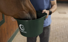 Il microbiota del cavallo, istruzioni per l'uso! 1