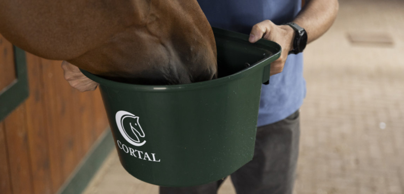 Il microbiota del cavallo, istruzioni per l'uso! 1