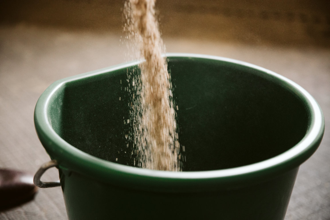 Il microbiota del cavallo, istruzioni per l'uso!