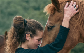 Il nuovo documentario: "Sincronia - quando i cavalli curano l'anima"