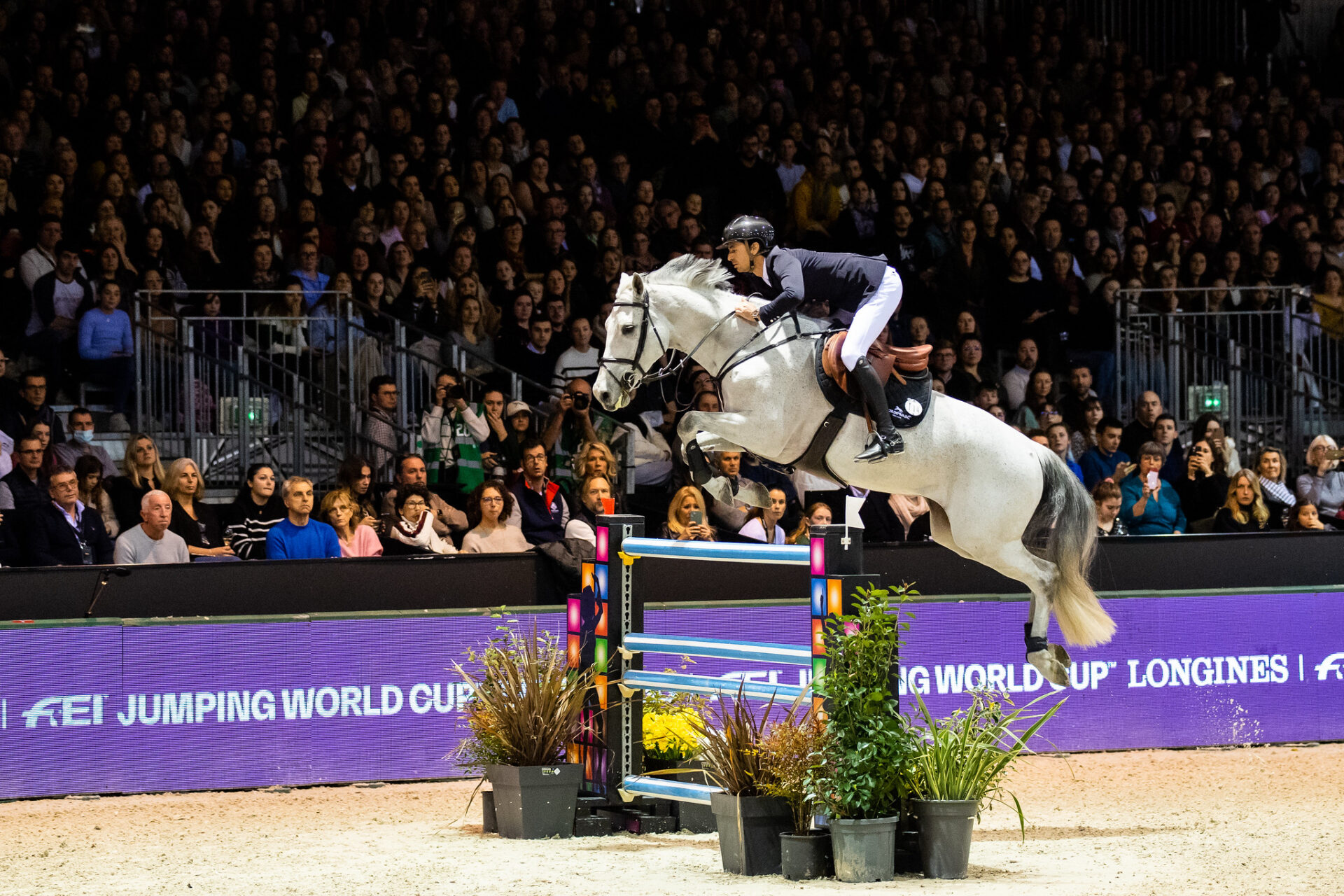 Intervento d’urgenza per Steve Guerdat; ritiro forzato dalla finale di Coppa del Mondo