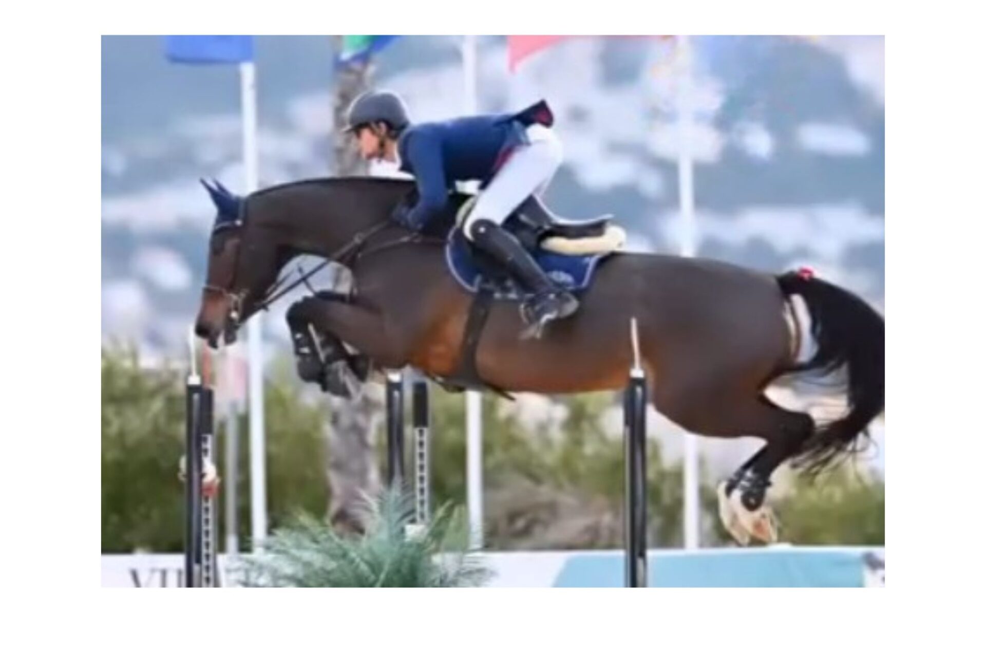 Piazza d’Onore per Christian Fioravanti nella 145 inaugurale di Oliva Nova (CSI2*)