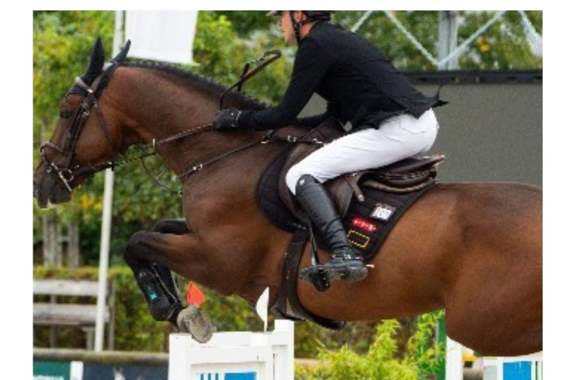Piazza d’Onore per Neri Pieraccini nel Grand Prix di Valencia, Simonetti 3° (CSI3*)