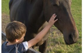 Bambini nello Spettro Autistico: il ruolo dei cavalli sempre più importante