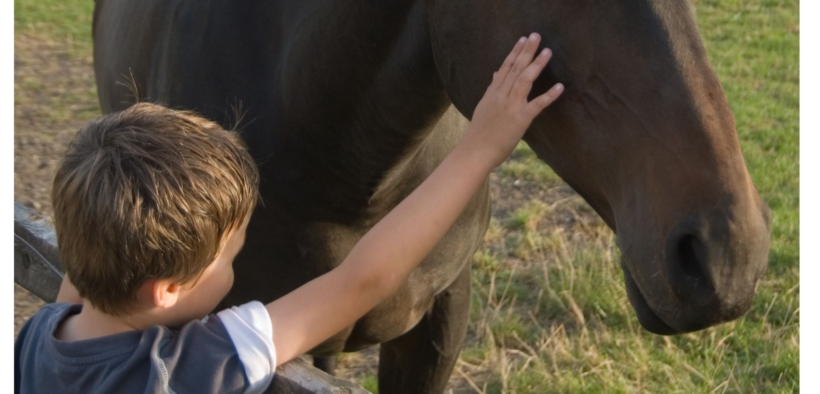 Bambini nello Spettro Autistico: il ruolo dei cavalli sempre più importante
