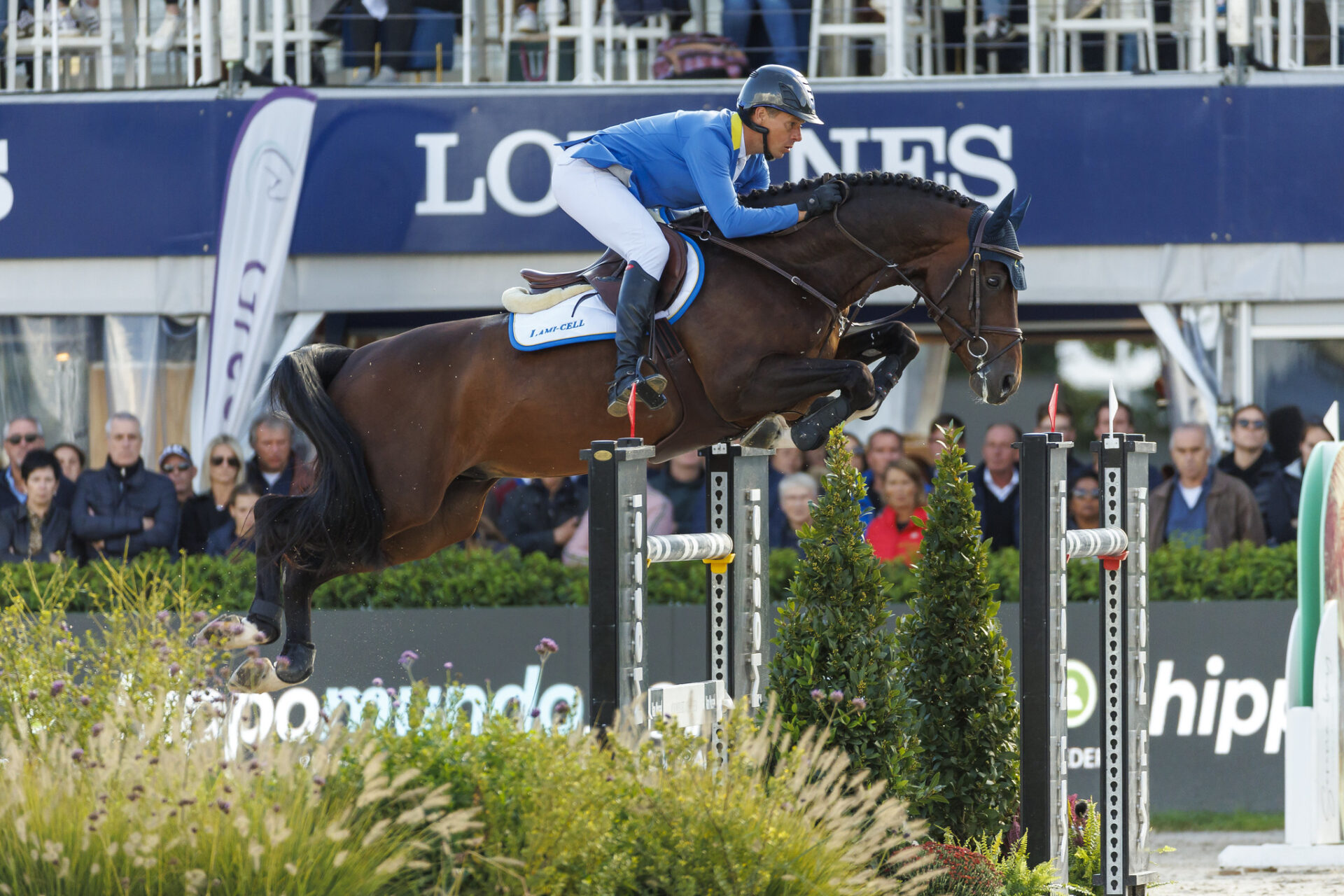 Dourkhan Hero Z (Dourkan Hero Z)